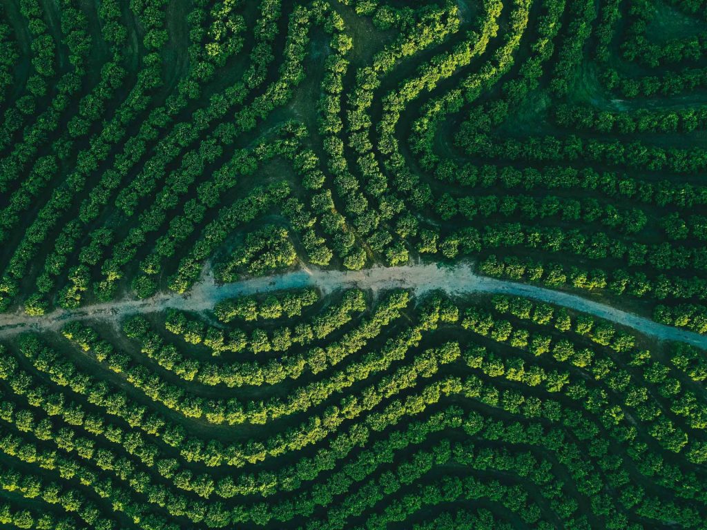 Fotografia aérea con dron españa